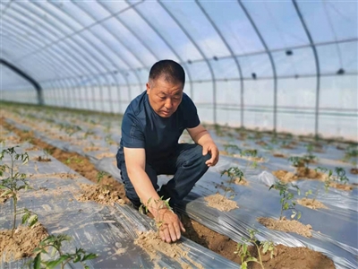 1618538803203001991.jpg 9.jpg