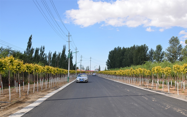 1625709997105027649.jpg p1_s (7).jpg