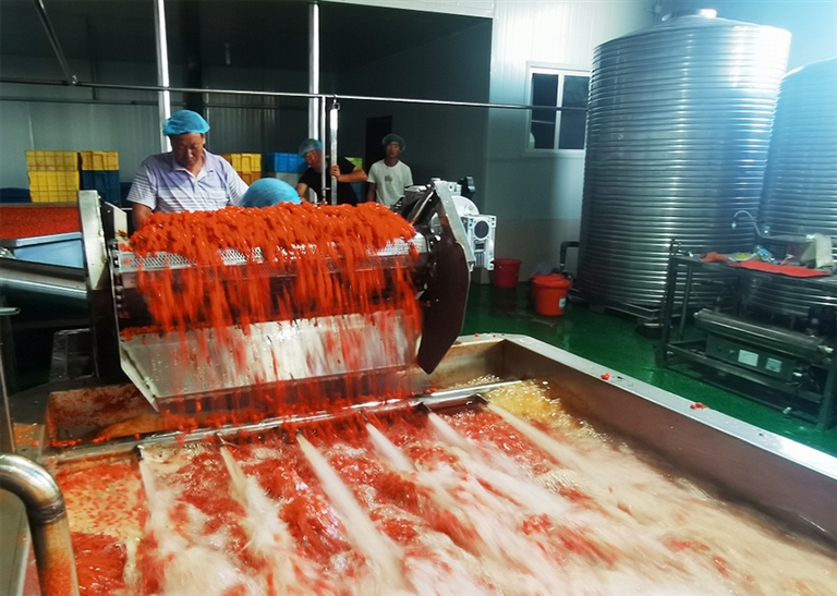 1627260854142090675.jpg 1627260854142090675.jpg