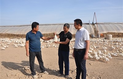 1630459470956012371.jpg 2111.jpg