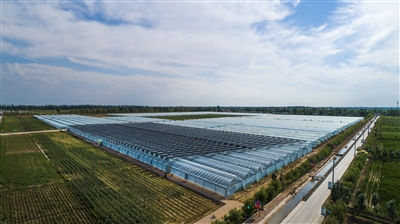 1630459541388091457.jpg 鐢板洯椋庡厜.jpg