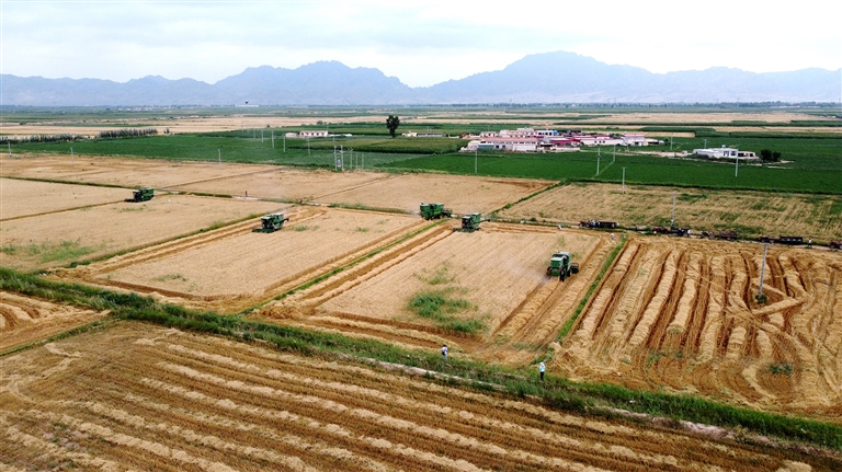 1631063151457069127.jpg 1631063151457069127.jpg