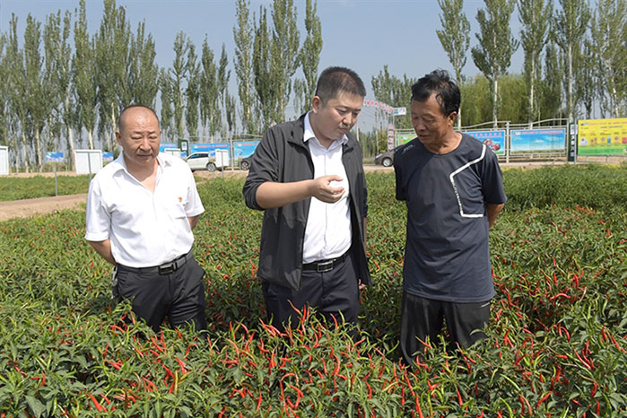 1631841936061039478.jpg 323.jpg