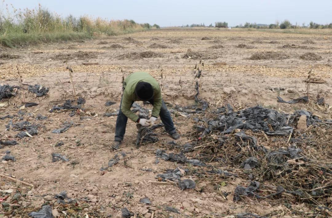 1634258186738043618.jpg 1634258186738043618.jpg