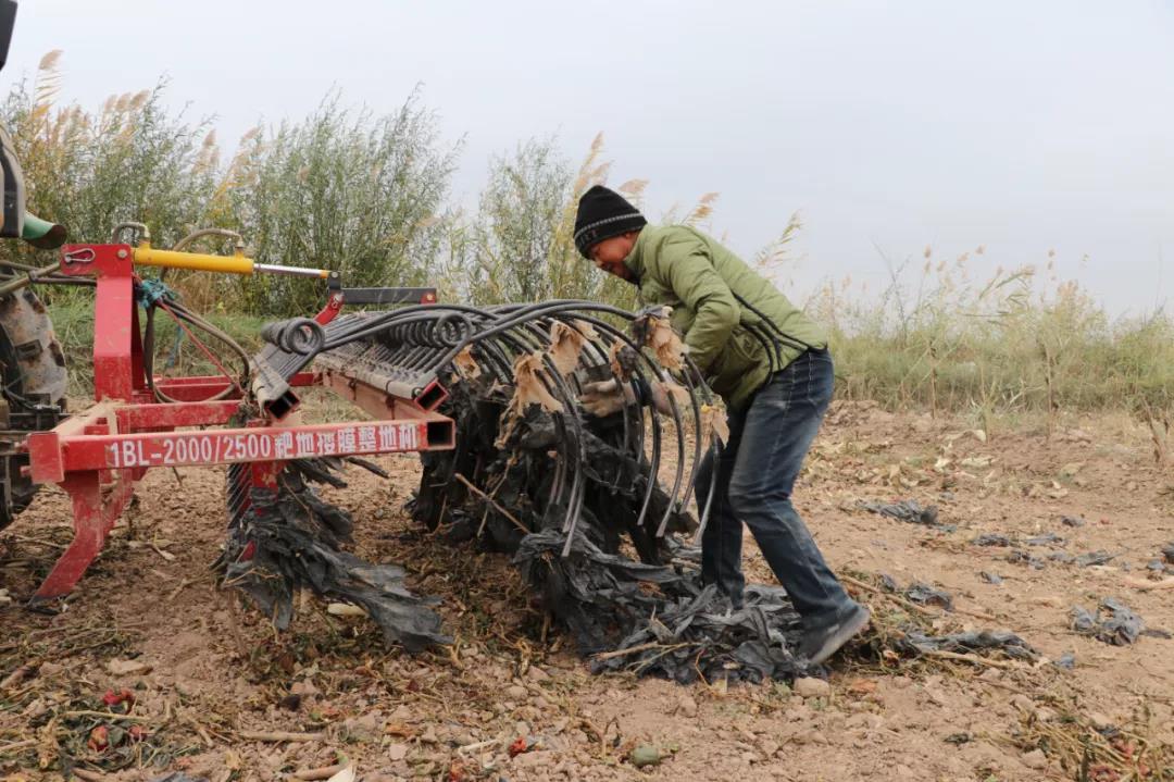 1634258174127094936.jpg 1634258174127094936.jpg