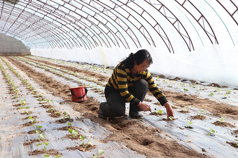 1645067026856013767.jpg p2_s (2).jpg