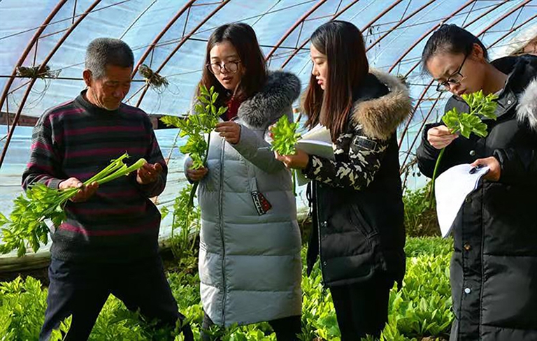 1645067077433099319.jpg p4_s.jpg