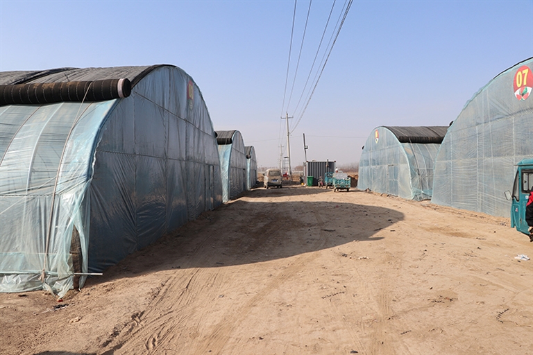 1645067052057042164.jpg p3_s (1).jpg