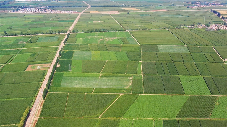 1647567314253004541.jpg 浜斿師鍘块珮鏍囧噯鍐滅敯锛堣祫鏂欏浘锛�.jpg