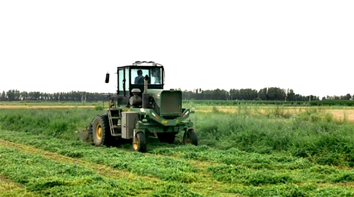 1658452491369097803.jpg 0722002_001_01_s.jpg