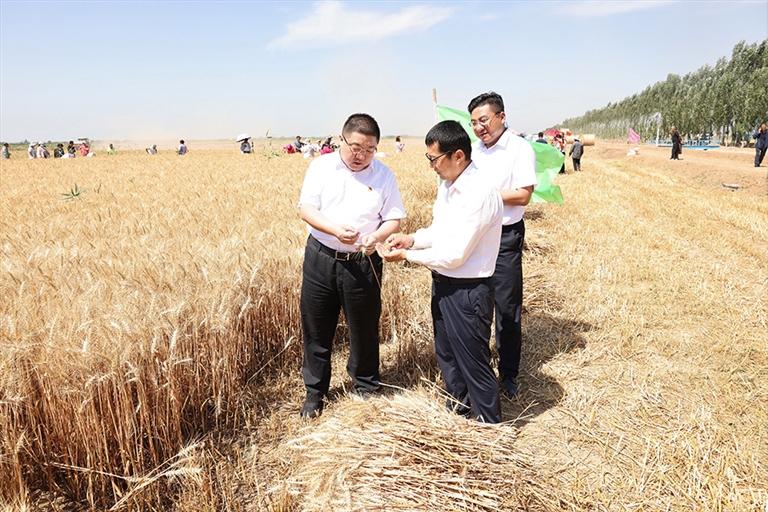 1658454845636063194.jpg 1658454845636063194.jpg