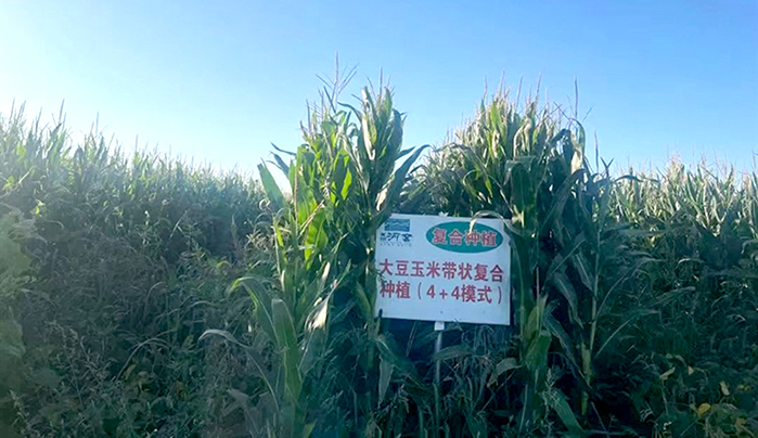 1663123331172044444.jpg 0914006_003_01_s.jpg