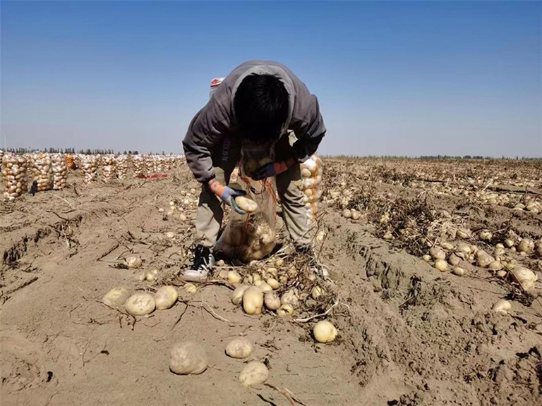 1667982464791048096.jpg 1667982464791048096.jpg