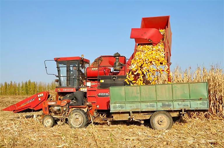 1668566338702098298.jpg 1668566338702098298.jpg