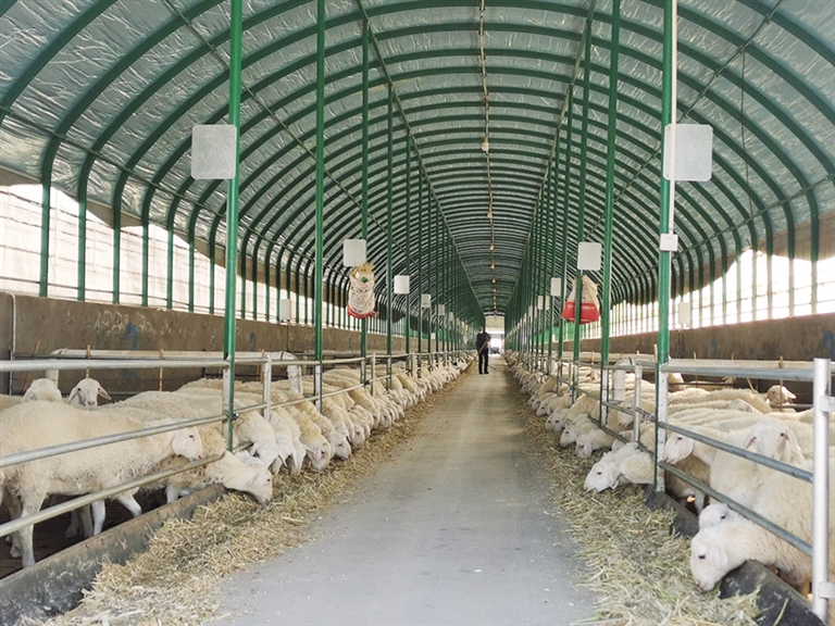 1670206471601057407.jpg 1670206471601057407.jpg