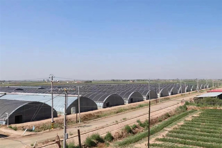 1672884508827093874.jpg 1672884508827093874.jpg