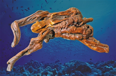 1677463389400015927.jpg 銆婂?榫熴�嬨��.jpg