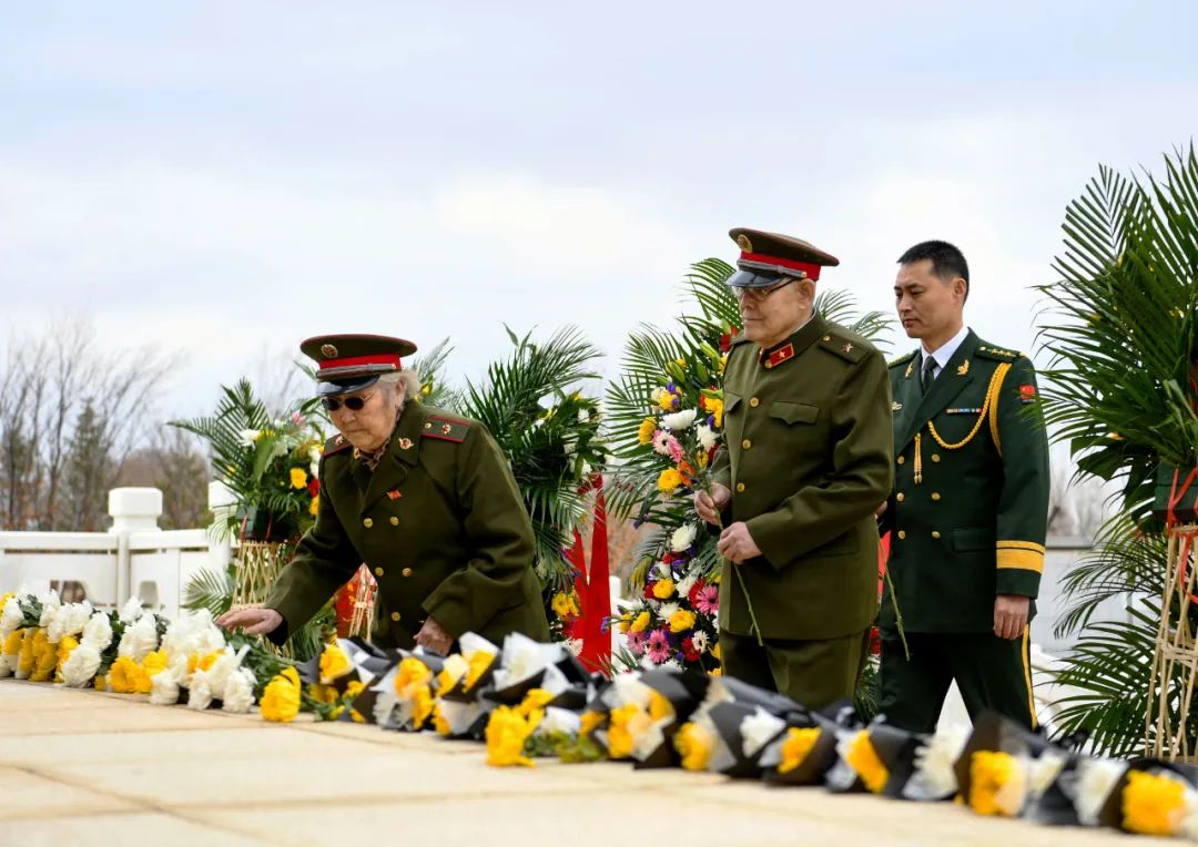 1680653925595078285.jpg 1680653925595078285.jpg