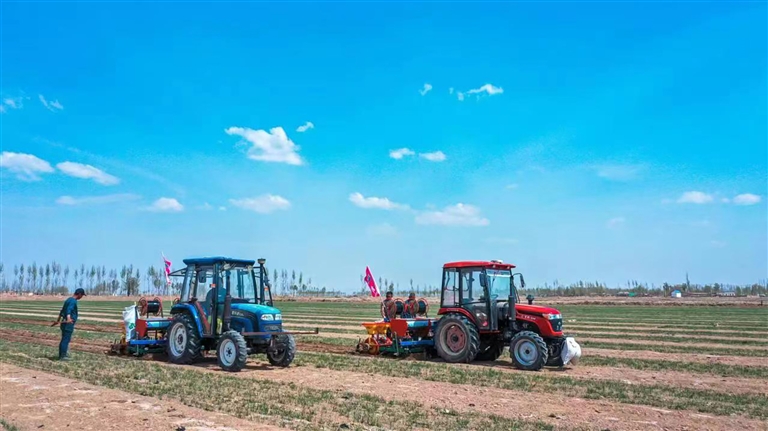 1683857530498060726.jpg 0512005_001_01_s.jpg