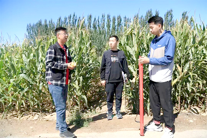 1684377263267043352.jpg 0518006_002_01_s.jpg