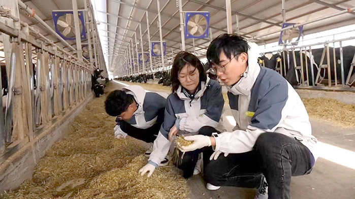 1684377276790035306.jpg 0518006_002_02_s.jpg