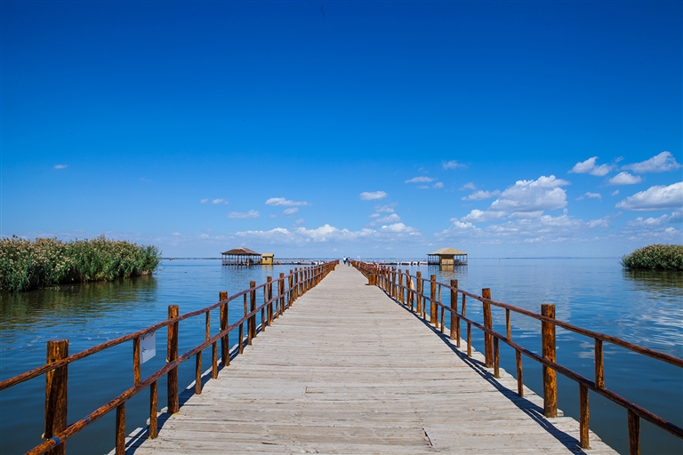 1684739316410063795.jpg 1684739316410063795.jpg