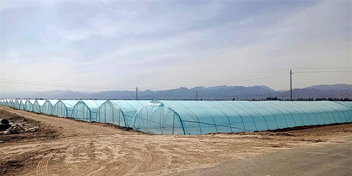 1685411873794010301.jpg 0530002_004_01_s.jpg