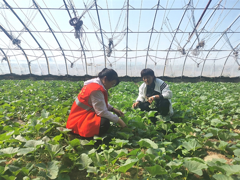 1685673298944079600.jpg 1685673298944079600.jpg