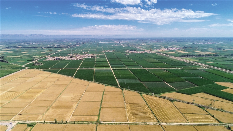 1686017359875010973.jpg 1686017359875010973.jpg