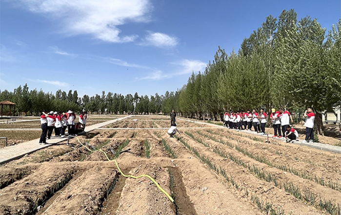 1686794725342089534.jpg 0615002_005_01_s.jpg