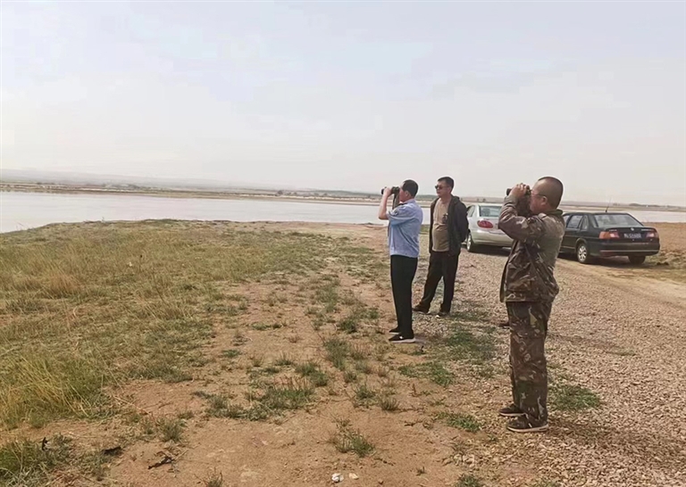 1687834762614055020.jpg 1687834762614055020.jpg