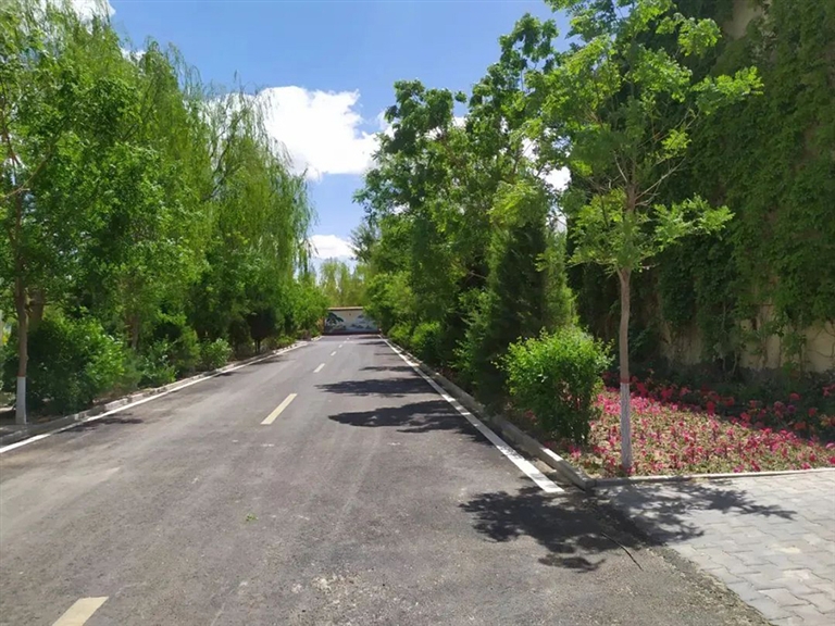 1689038296948011537.jpg 0709004_001_01_s.jpg