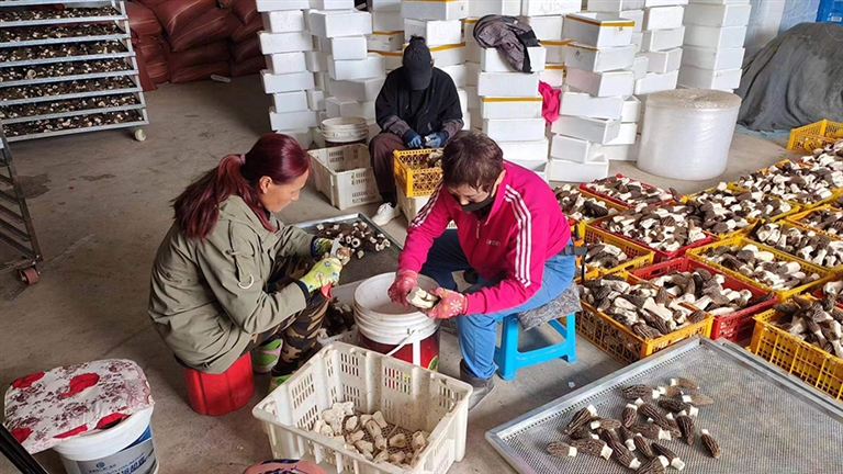 1693791392815031419.jpg 0904002_001_01_s.jpg