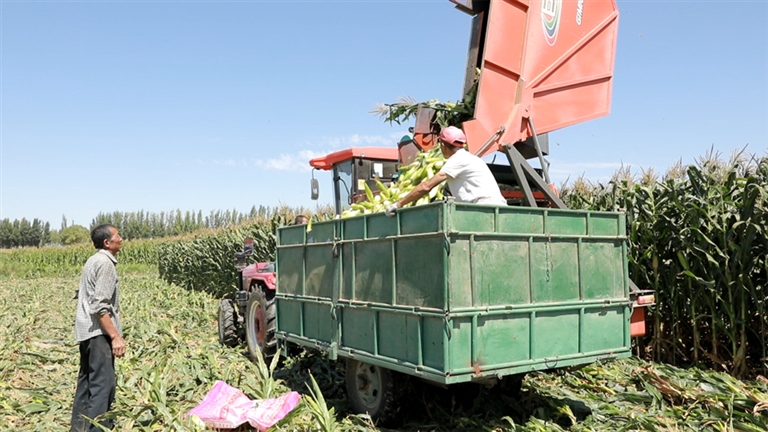 1694052496202084713.jpg 0907005_001_01_s.jpg