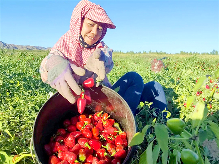 1695609871911078119.jpg 0923003_002_01_s (1).jpg