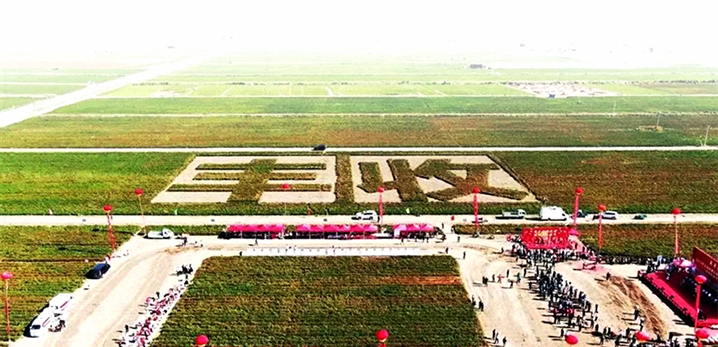 1695609898813020346.jpg 0923003_002_03_s (1).jpg