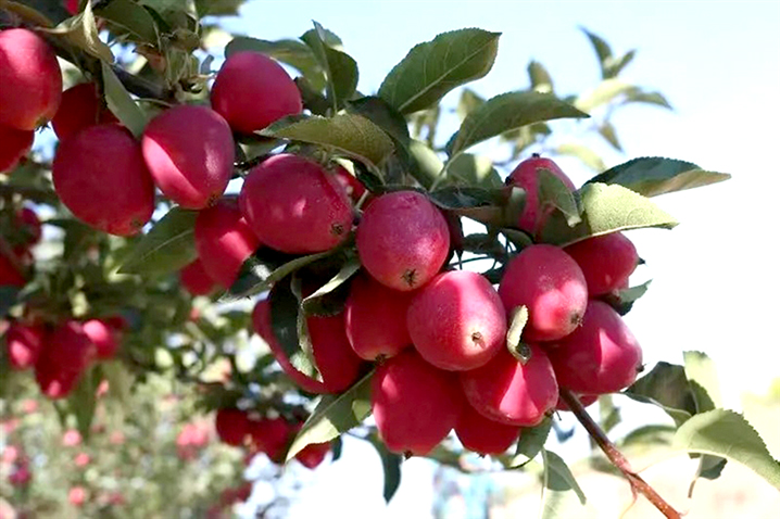 1695609886249053028.jpg 0923003_002_02_s (1).jpg