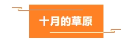 寰?俊鎴?浘_20231019115105.png