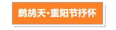 寰?俊鎴?浘_20231024113904.png