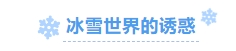 寰?俊鎴?浘_20231221162918.png