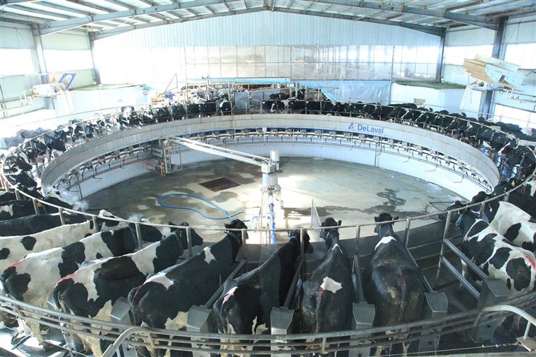 1703639416964017386.jpg 1227001_001_01_s.jpg