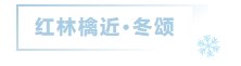 寰?俊鎴?浘_20231229113340.png