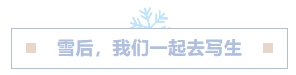 寰?俊鎴?浘_20231229114247.png