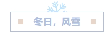 寰?俊鎴?浘_20231229114542.png
