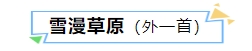 寰?俊鎴?浘_20240202173951.png