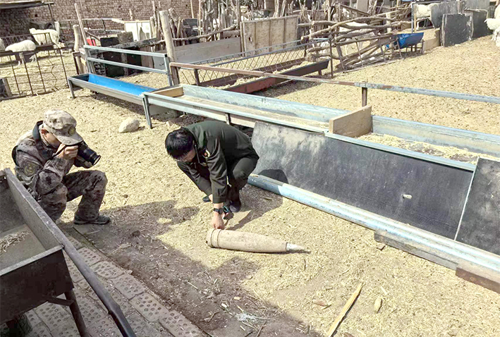 1712627179524033116.jpg 0409003_003_01.jpg