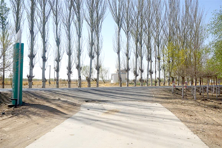 1718244517335027307.jpg 0613004_003_02_s.jpg