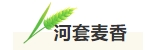 寰?俊鎴?浘_20240716154900.png