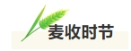 寰?俊鎴?浘_20240716155046.png
