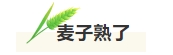寰?俊鎴?浘_20240716154946.png